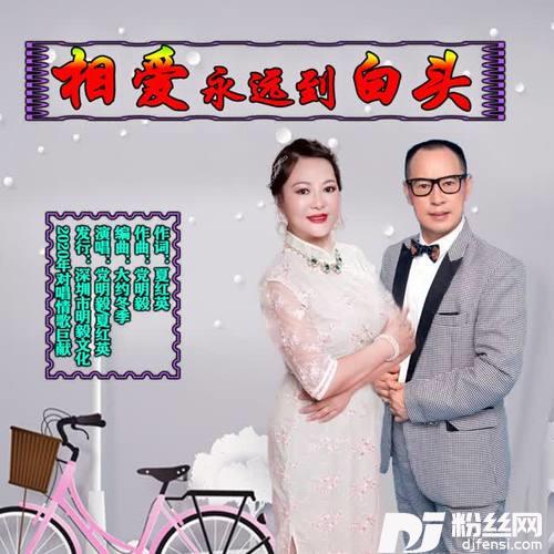 相爱永远到白头的专辑
