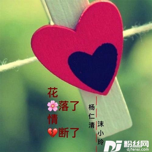 花落了情断了