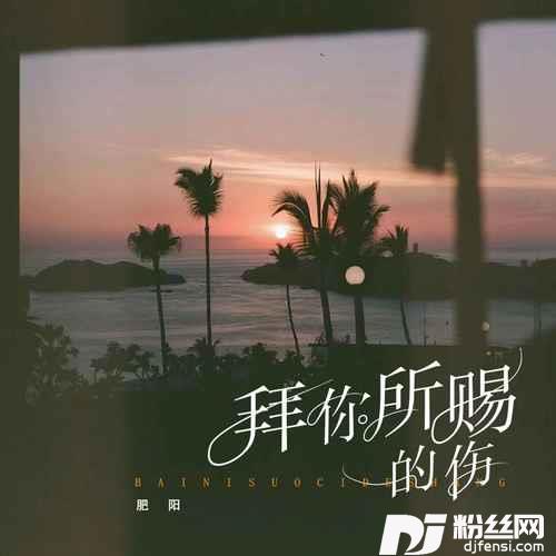 拜你所赐的伤的专辑