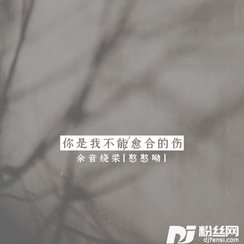你是我不能愈合的伤的专辑