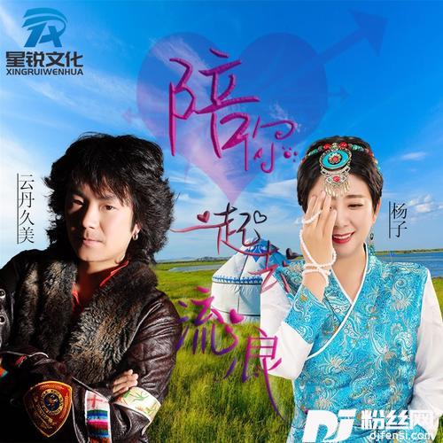陪你一起去流浪（DJ何鹏版）