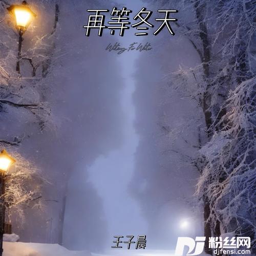 在等冬天的专辑