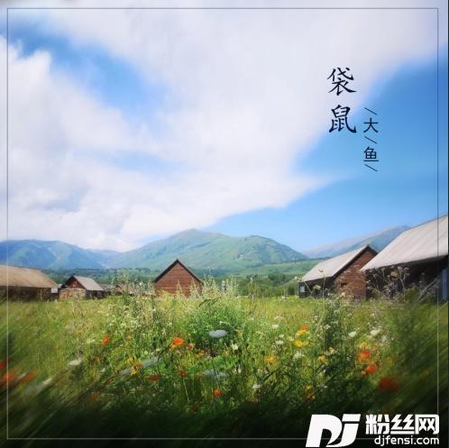 袋鼠DJ版的专辑