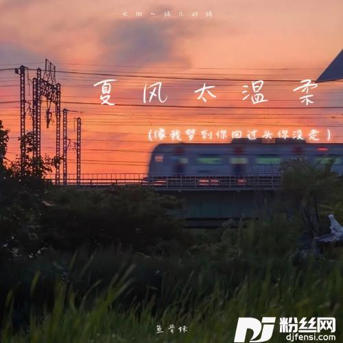 夏风太温柔的专辑