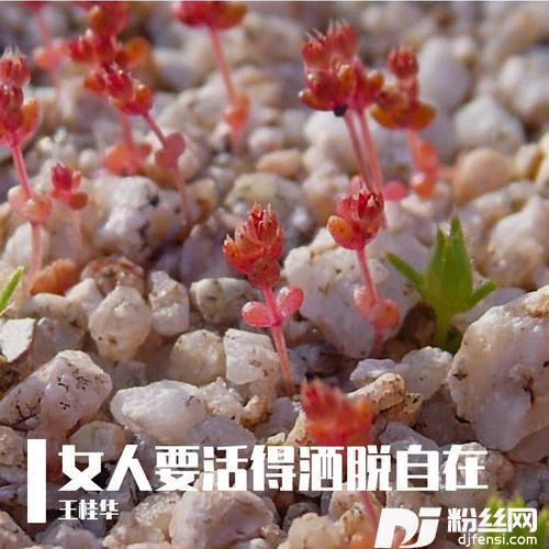 来生不做哥娇妻的专辑
