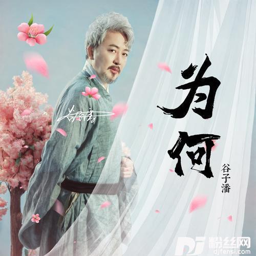 为何的专辑