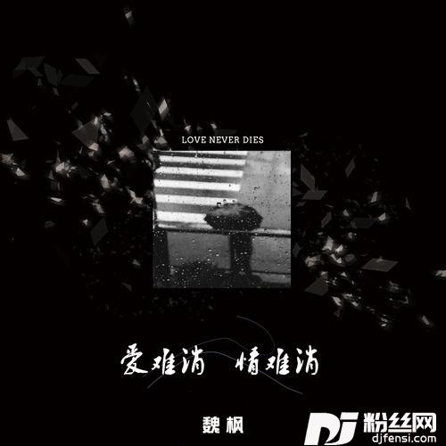 爱难消情难消DJheap九天版