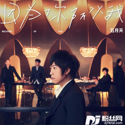 因为你所以我