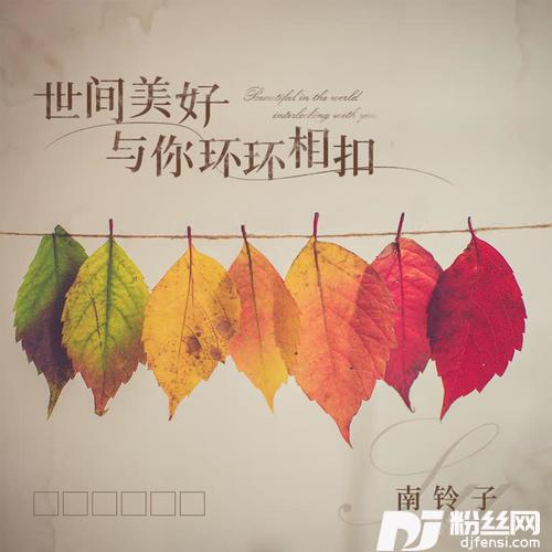 世间美好与你环环相扣抖音女生版