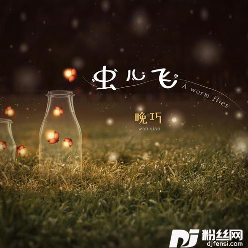 虫儿飞DJ豪大大版