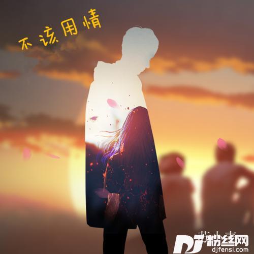 不该用情抖音完整版
