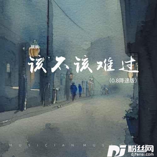 该不该难过0.8降速版