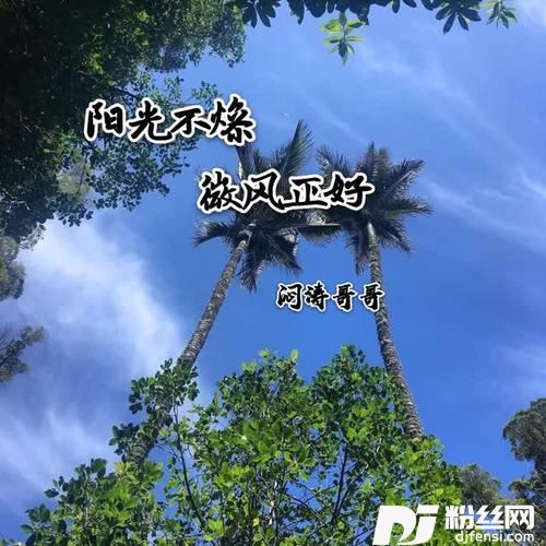 卜卦咚鼓版的专辑