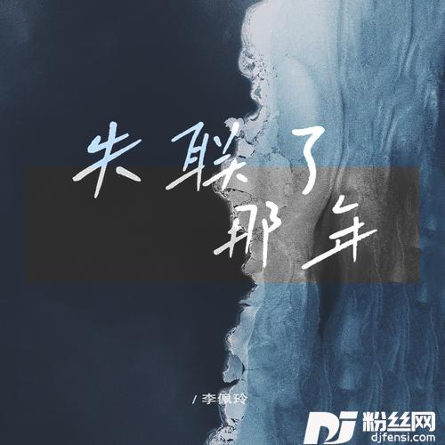 失联了那年