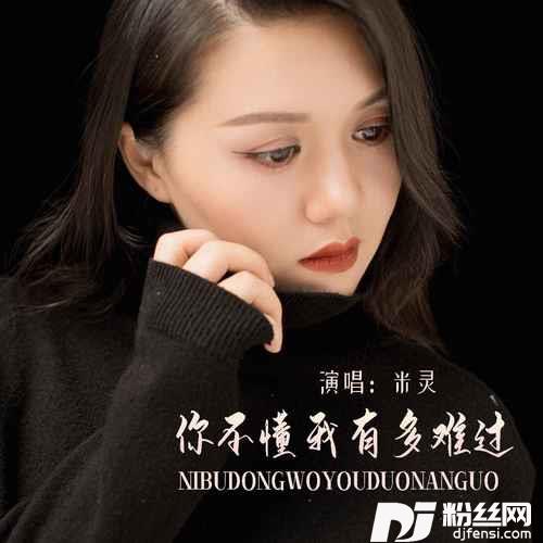 你不懂我有多难过DJ默涵版