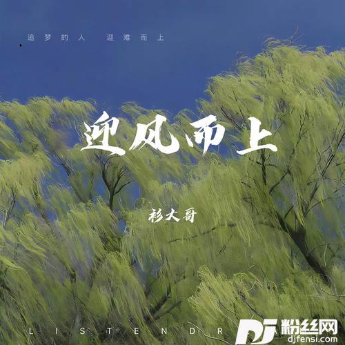 迎风而上