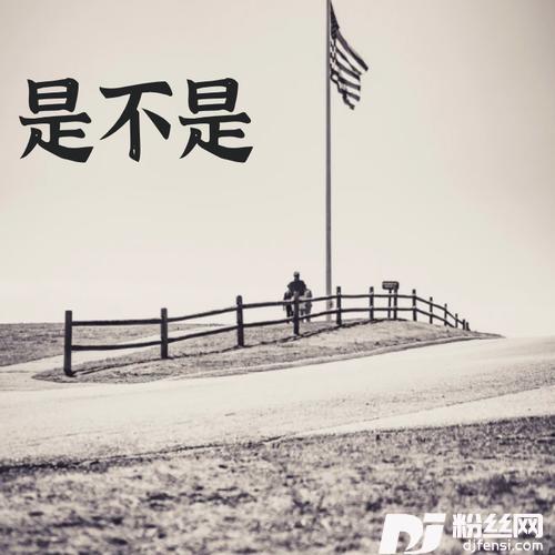是不是Demo