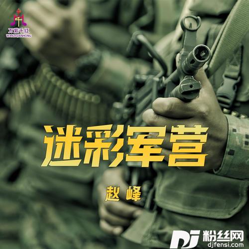 迷彩军营的专辑