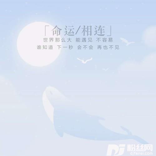 命运相连（粤语）的专辑