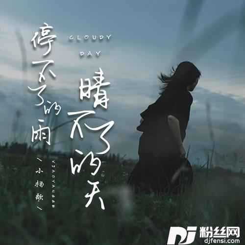 停不了的雨晴不了的天DJ伯格版