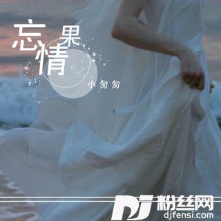 忘情果DJ女声版