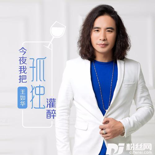 今夜我把孤独灌醉