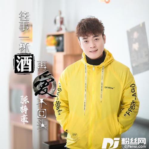 往事一杯酒再爱不回头（DJ版）