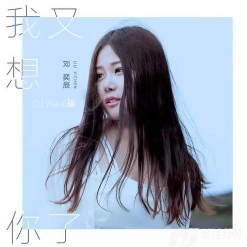 我又想你了DJWave版