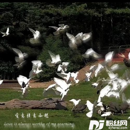 沦陷cover:夏天Alex