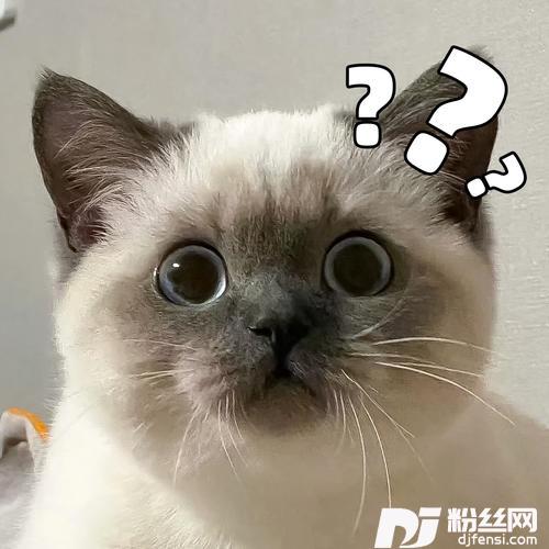 全是Johnny说唱版的专辑