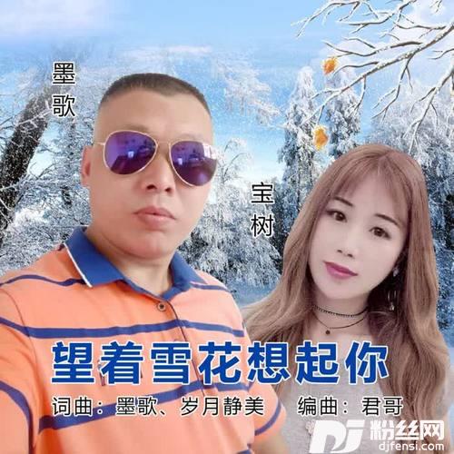 望着雪花想起你