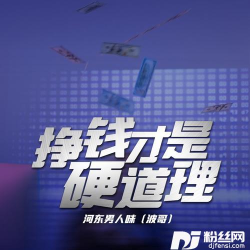 挣钱才是硬道理DJ默涵版
