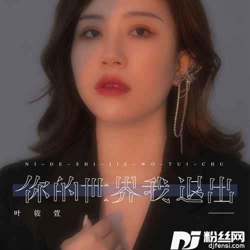 你的世界我退出DJ彭锐版