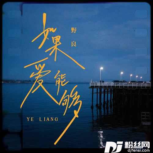 如果爱能够DJ德朋版