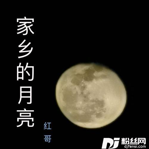 我以为cover:小高哥高伟的专辑