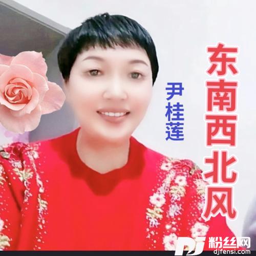 东南西北风cover:李玲玉