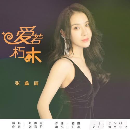爱若朽木DJ何鹏版