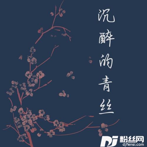 沉醉的青丝抖音新版的专辑