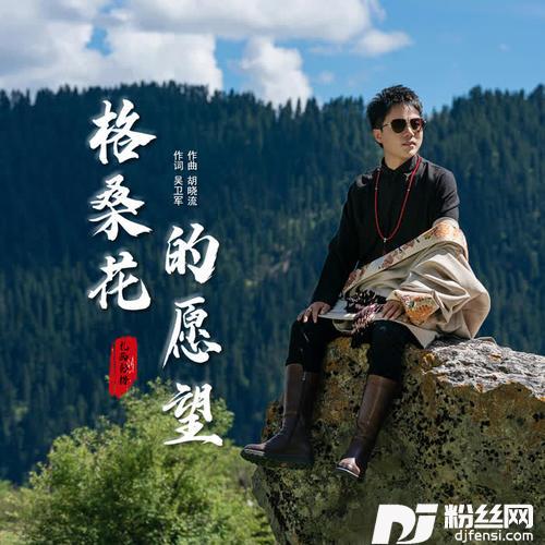 格桑花的愿望