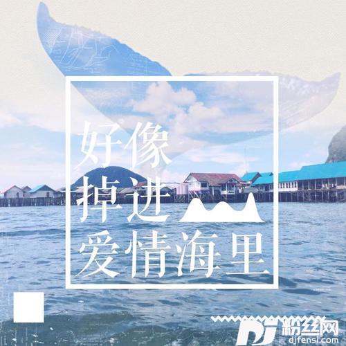好像掉进爱情海里的专辑