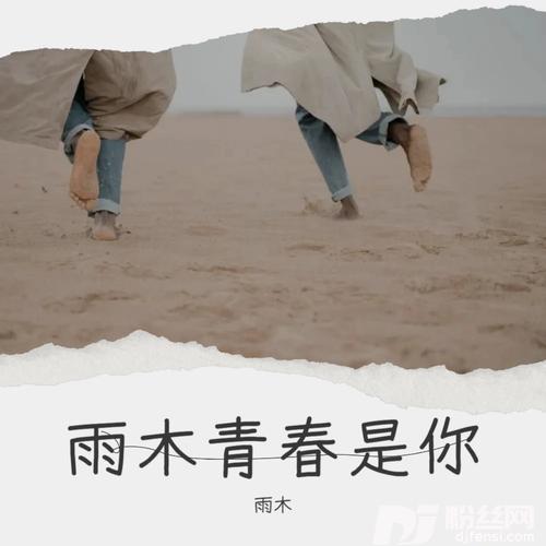 青春是你（民谣版）的专辑