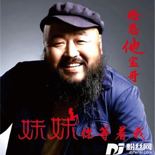 妹妹你等着我（DJ何鹏版）的专辑