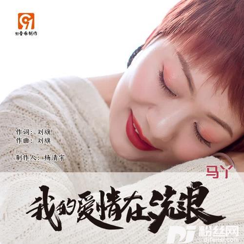 我的爱情在流浪-DJ版