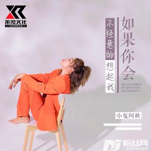 如果你会不经意的想起我（DJ版）的专辑