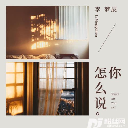 你怎么说的专辑