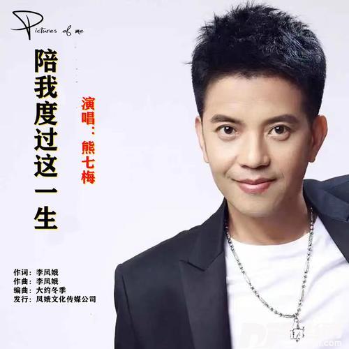 陪我度过这一生的专辑