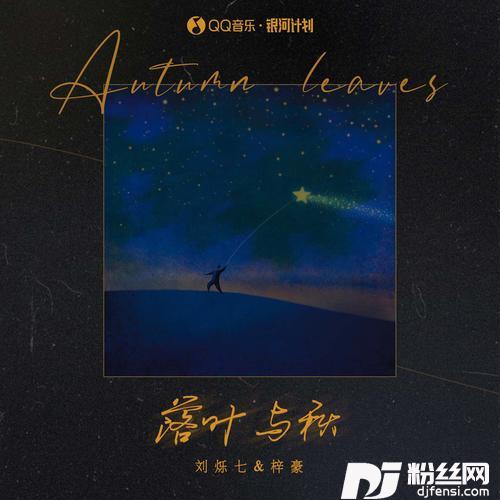 落叶与秋（DJ默涵版）