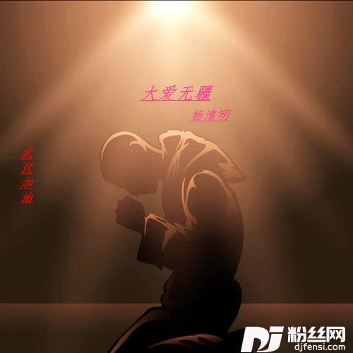 大爱无疆武汉加油iOS版的专辑