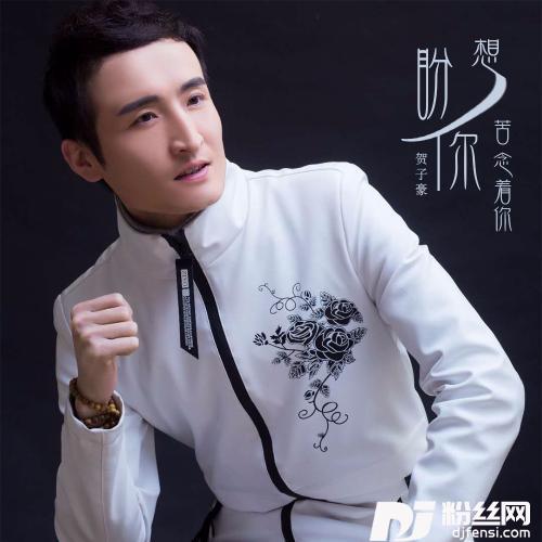 想你盼你苦恋着你的专辑