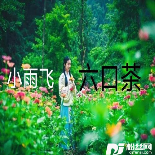 六口茶cover:眼睛说话大姐合作